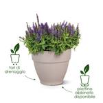 vibia campana round 40cm sage green